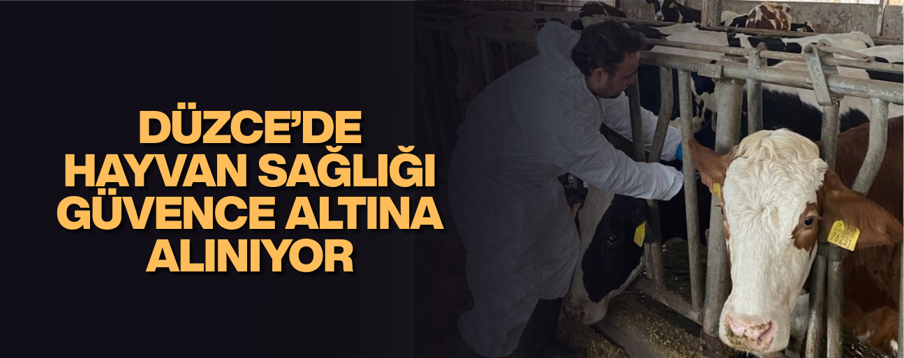 İLKBAHAR ŞAP AŞILAMASI BAŞLADI