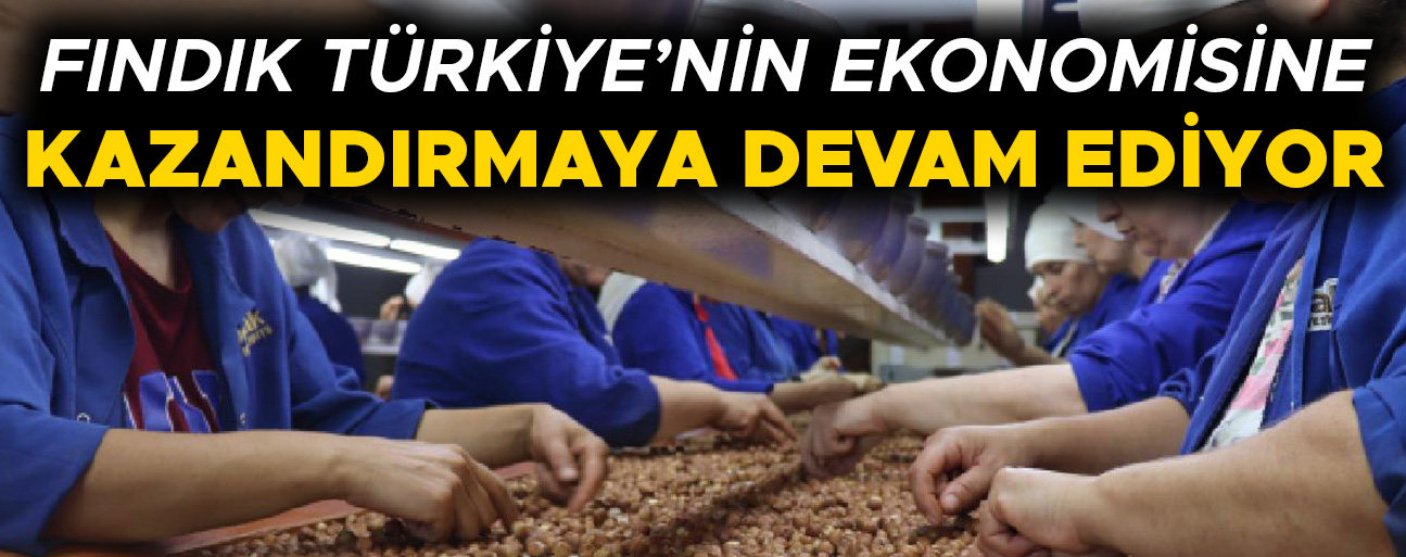 DÜZCE’DEN YÜZ BİNLERCE TON İÇ FINDIK AB ÜLKELERİNE İHRAÇ EDİLDİ