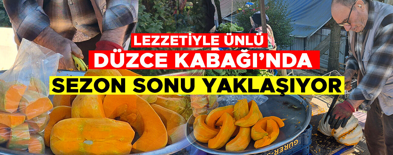 “BOLU VE SAKARYA’DA DÜZCE KABAĞI’NI TERCİH EDİYOR”