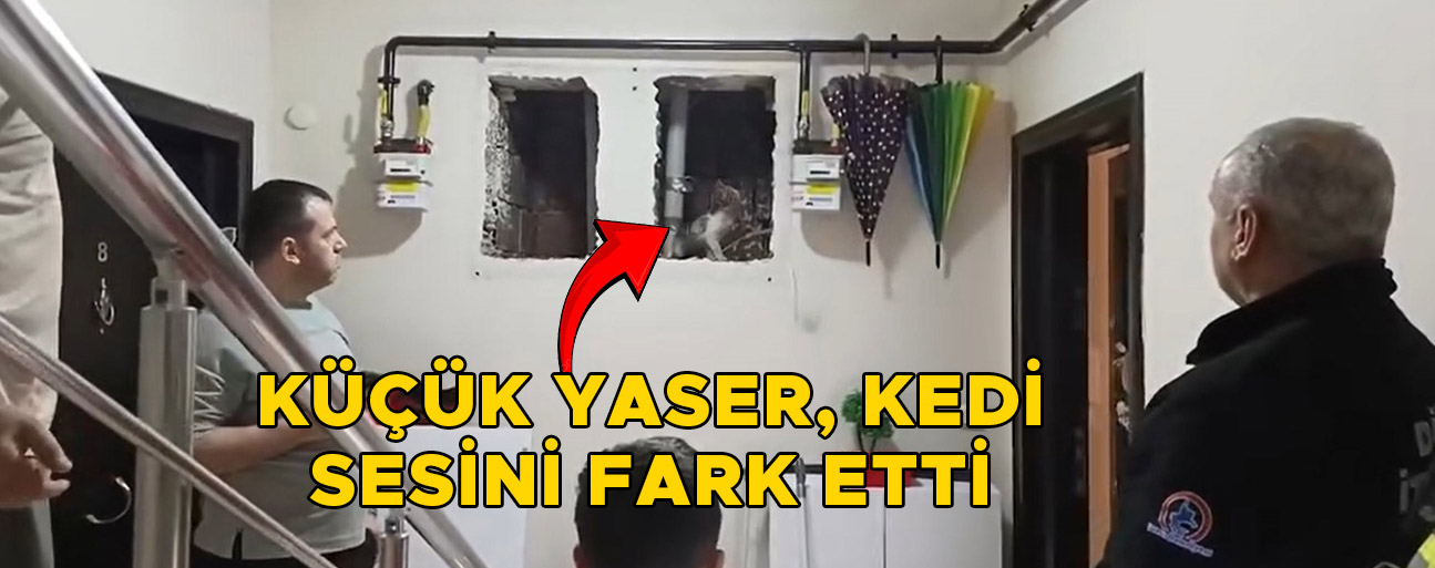 KEDİYİ DÜŞTÜĞÜ YERDEN KURTARDILAR