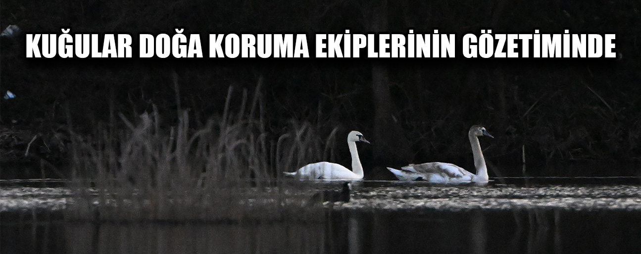 DÜZCE DOĞA KORUMA VE MİLLİ PARKLAR ŞUBE MÜDÜRÜ ŞİMŞEK: “ZİYARETİ ÇOK NADİR OLUYOR”