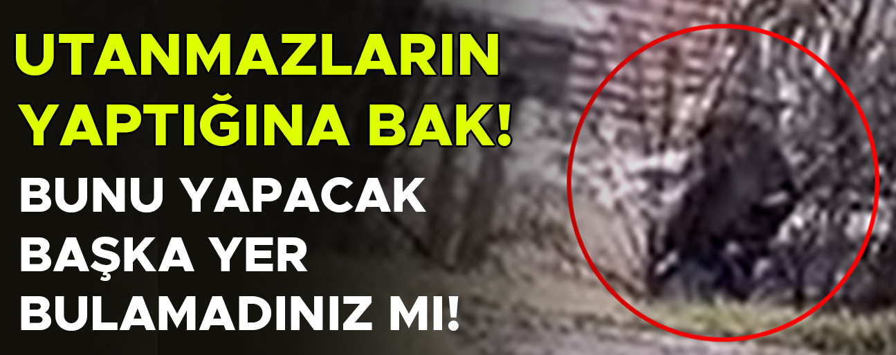 YAŞANAN REZİLLİĞE ŞAHİT OLAN VATANDAŞ: “EDEPSİZLİKLERİNİ SOKAKTA YAŞIYORLAR”