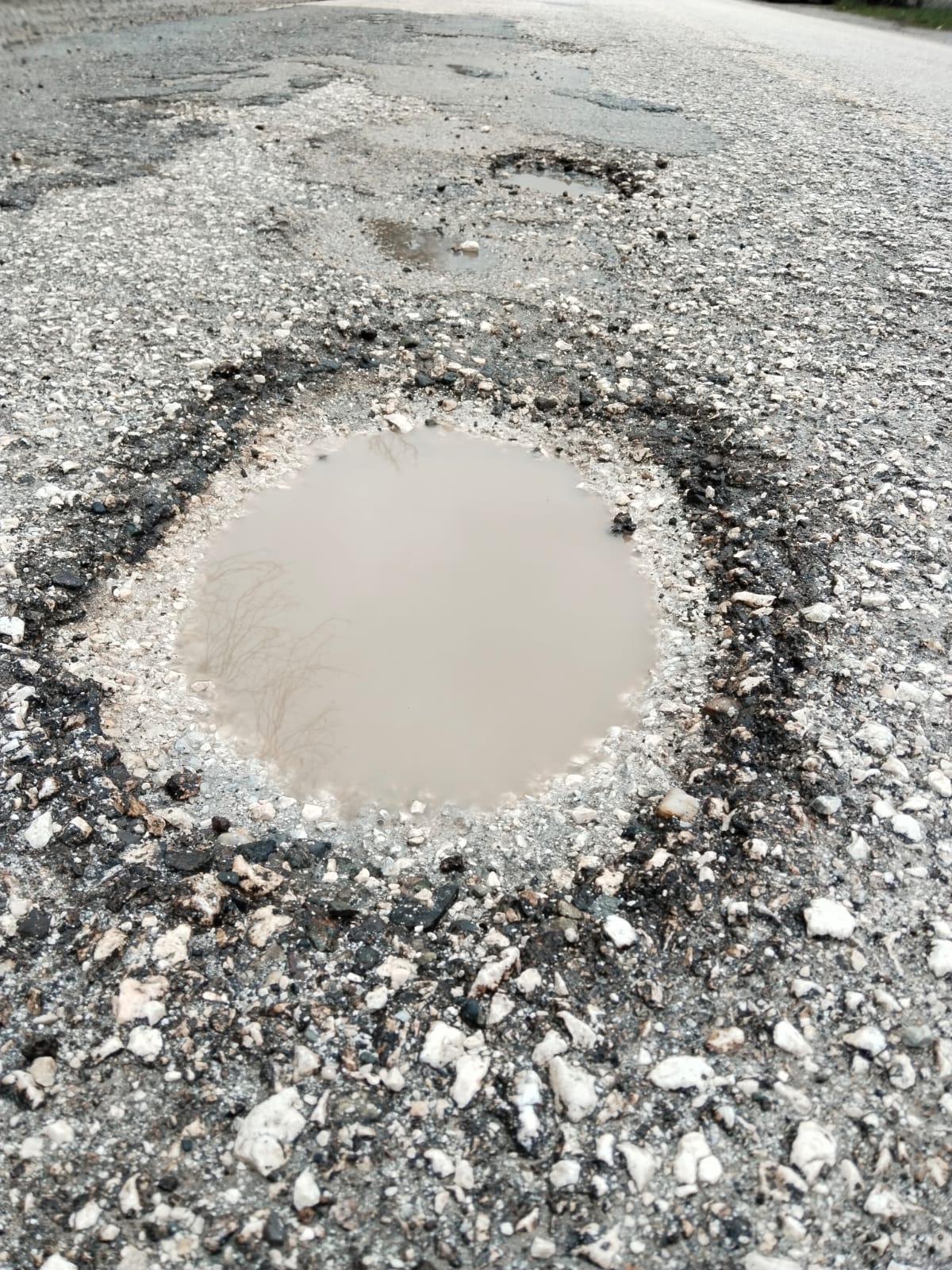 Whatsapp Image 2026 02 03 At 14.14.02