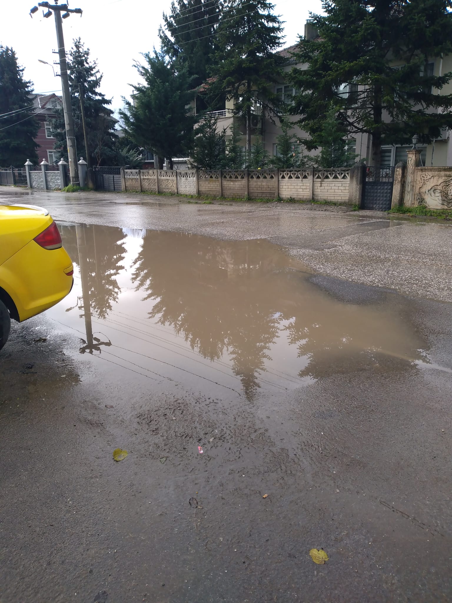 Whatsapp Image 2026 02 06 At 15.05.09