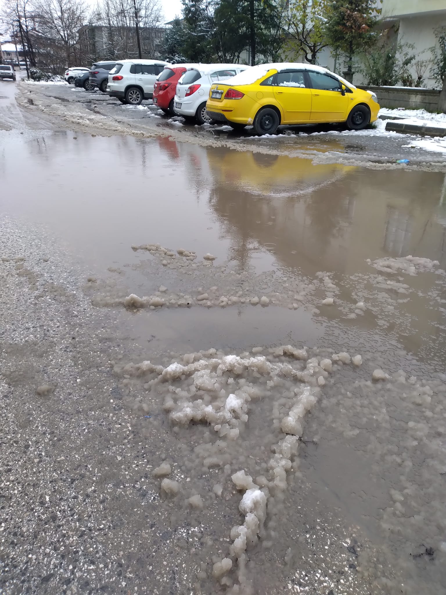 Whatsapp Image 2026 02 06 At 15.05.10