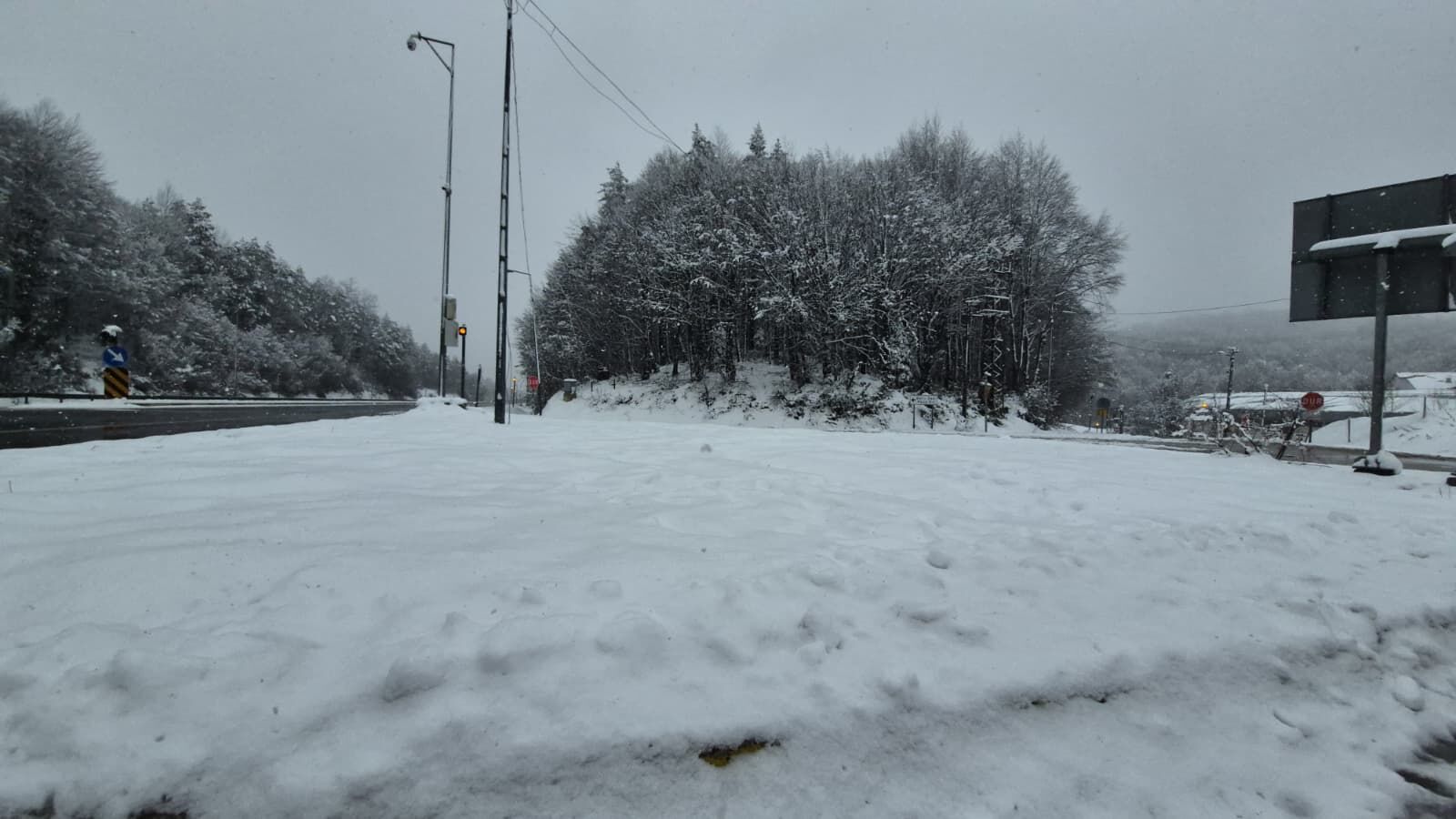 15538A62 001B 48A2 932D 79E68Ee3390A