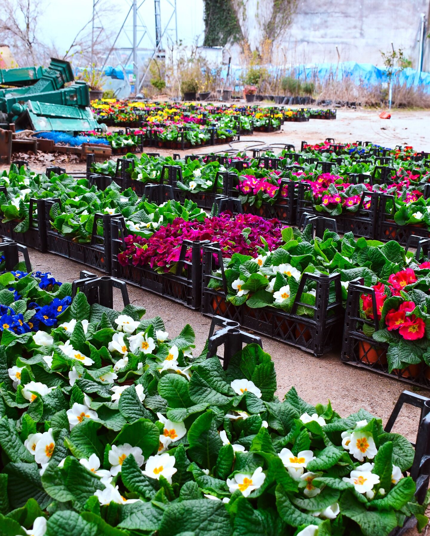 651784024 18570678052024515 1210596332678935698 N