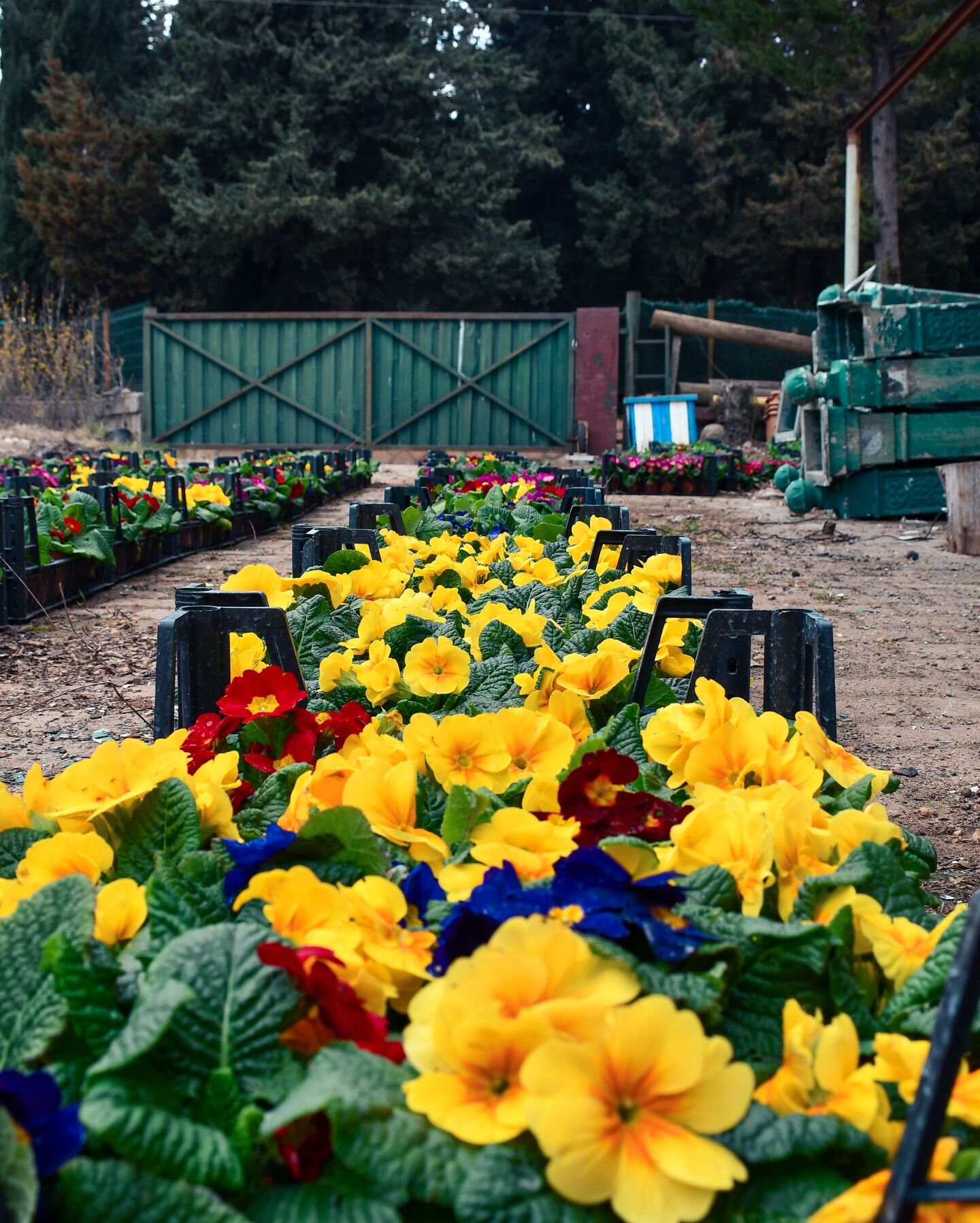 652340228 18570678043024515 7326718127002017565 N