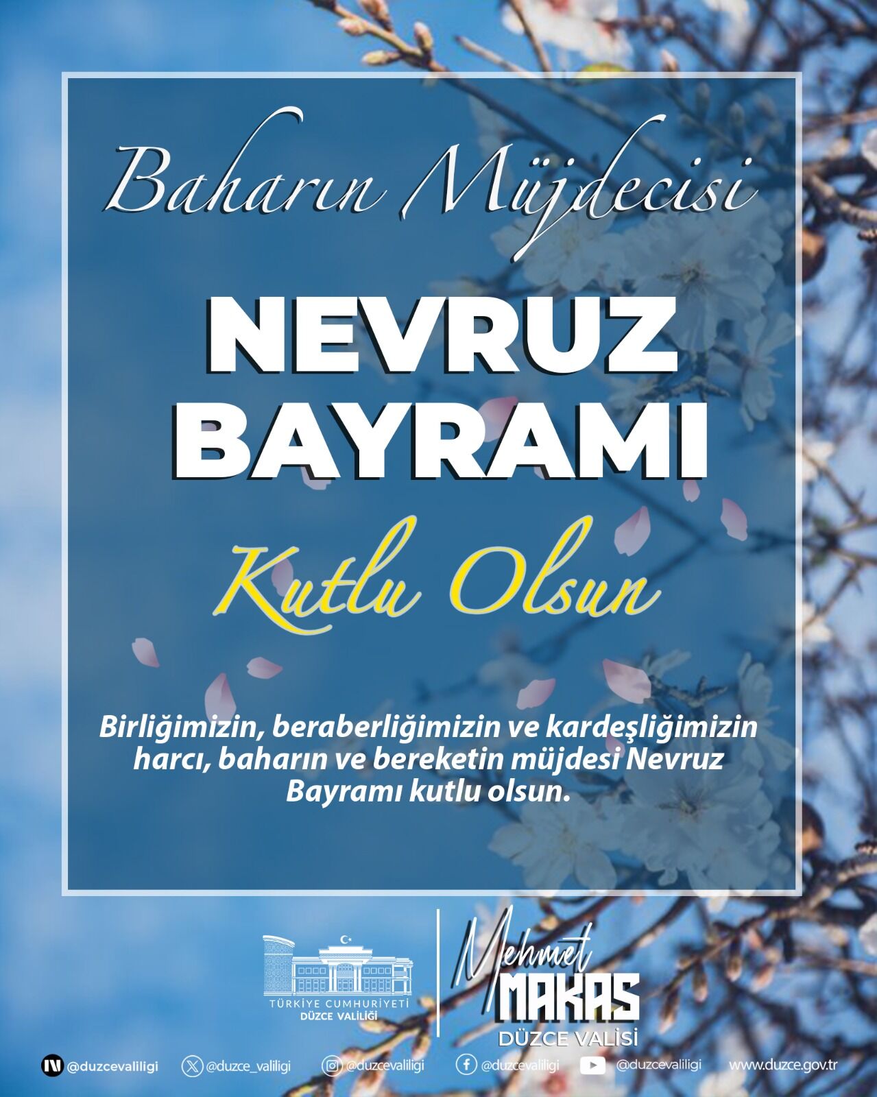 655682906 1334688448696479 5536018395325555043 N