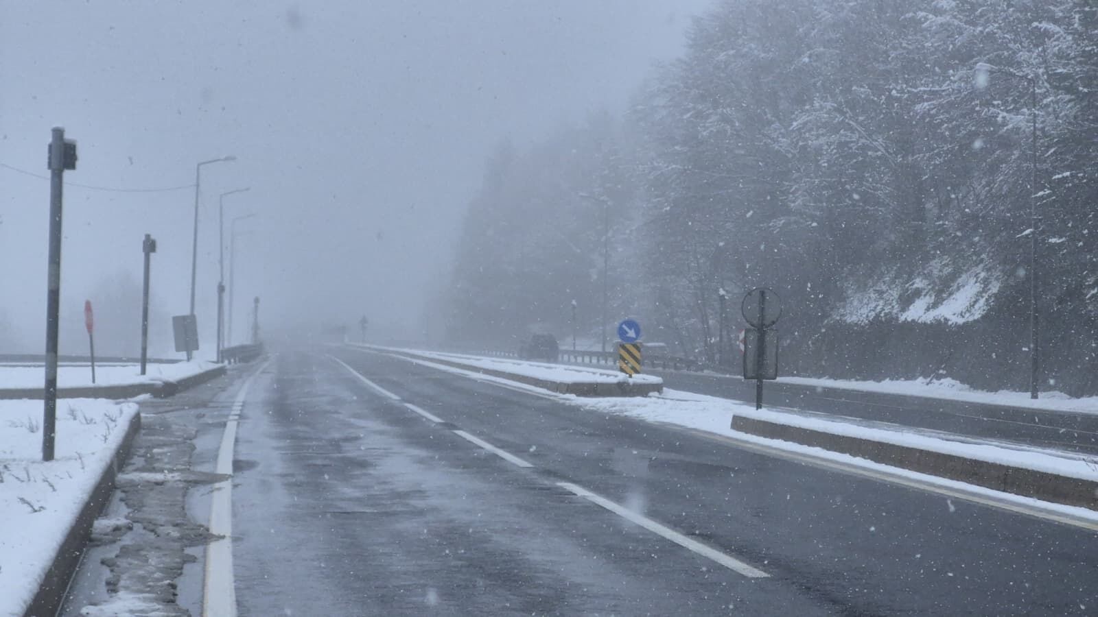 7C7A1360 99D3 41A1 Bde4 83Effa2A31B6