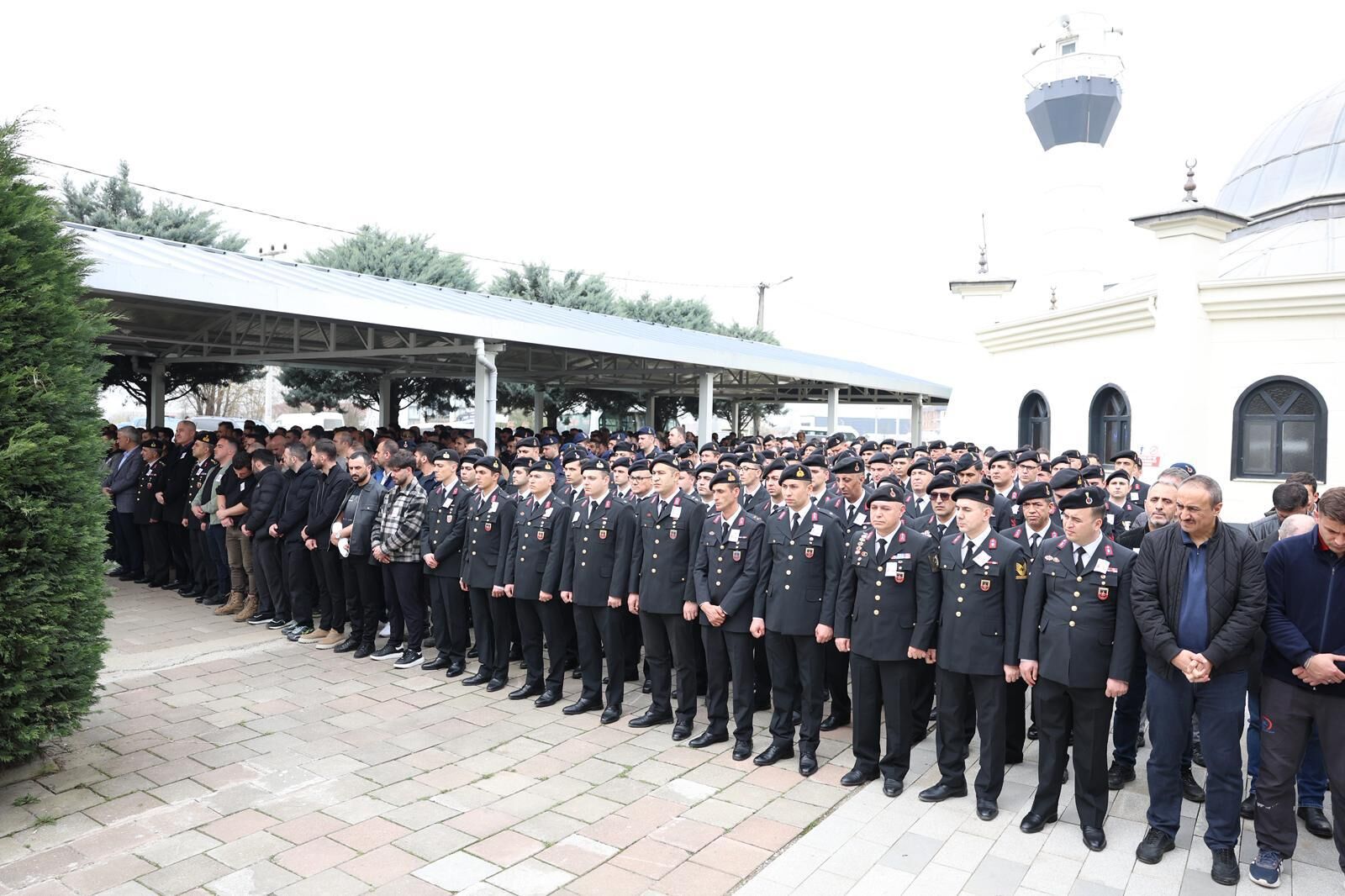 88Aeefc5 058E 41Ee 8264 4F74E815D96D