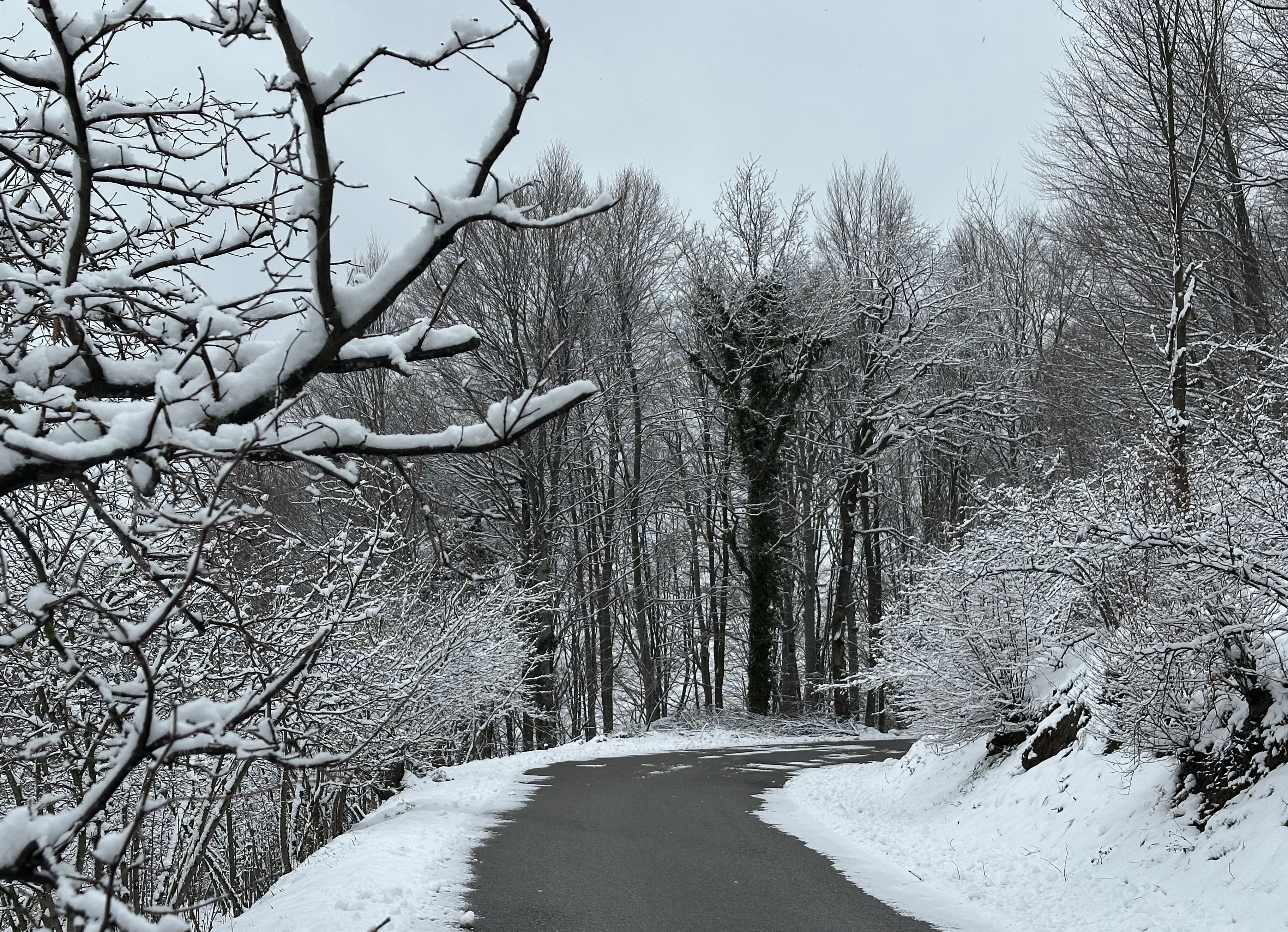 A A 20260303 40721355 40721348 G O L Y A K A N I N Y U K S E K K E S I M L E R I B E Y A Z O R T U Y L E K A P L A N D I