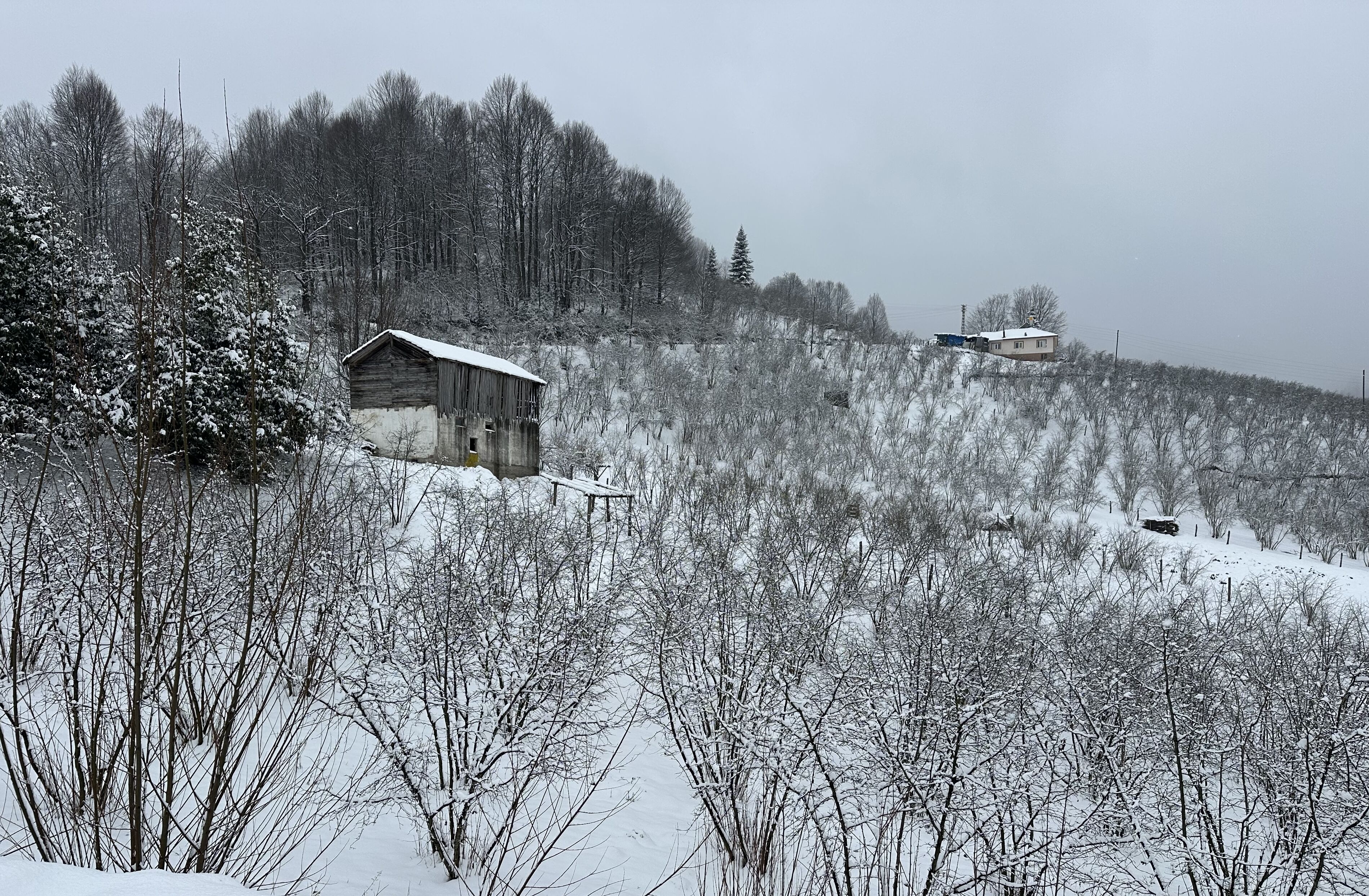 A A 20260303 40721355 40721349 G O L Y A K A N I N Y U K S E K K E S I M L E R I B E Y A Z O R T U Y L E K A P L A N D I