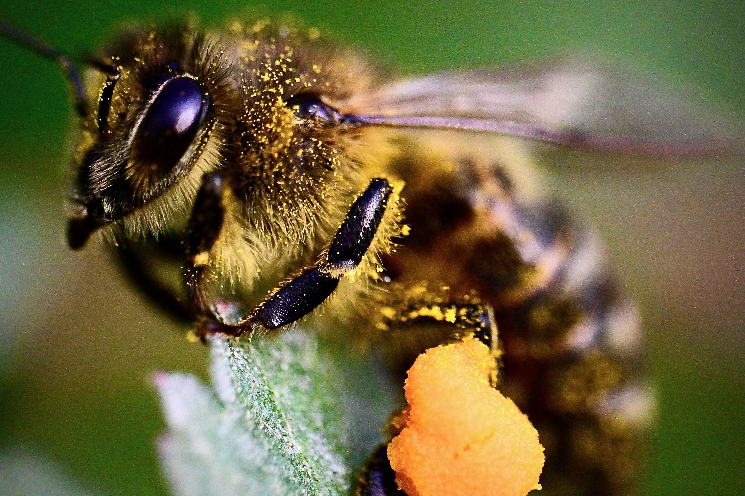 A A 20260325 40919409 40919407 A R I L A R I N K U R E S E L I S I N M A D A N C O K E L E K T R O M A N Y E T I K A L A N L A R D A N E T K I L E N D I G I B E L I R L E N D I