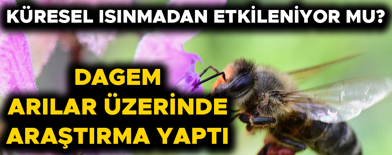 LABORATUVAR ÇALIŞMALARININ SONUÇLARI AÇIKLANDI