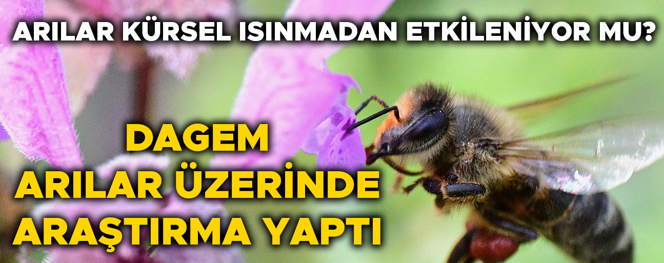 LABORATUVAR ÇALIŞMALARININ SONUÇLARI AÇIKLANDI