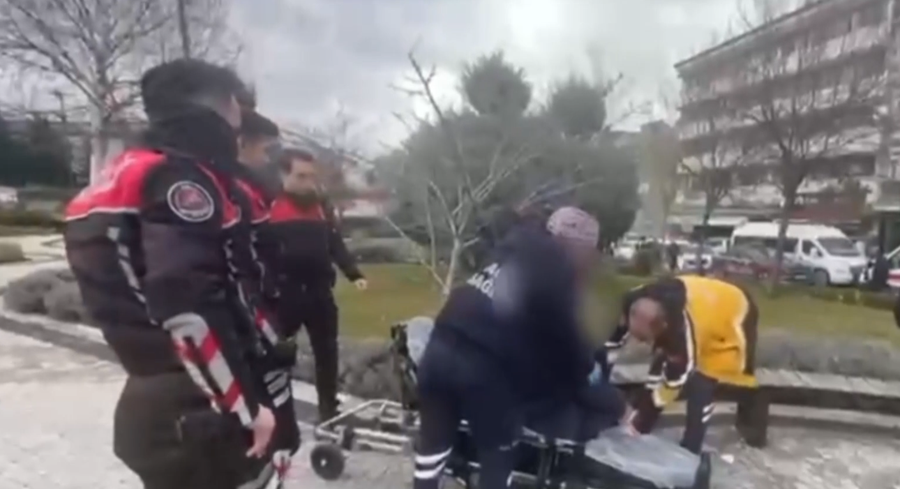 Capture 20260316 153350