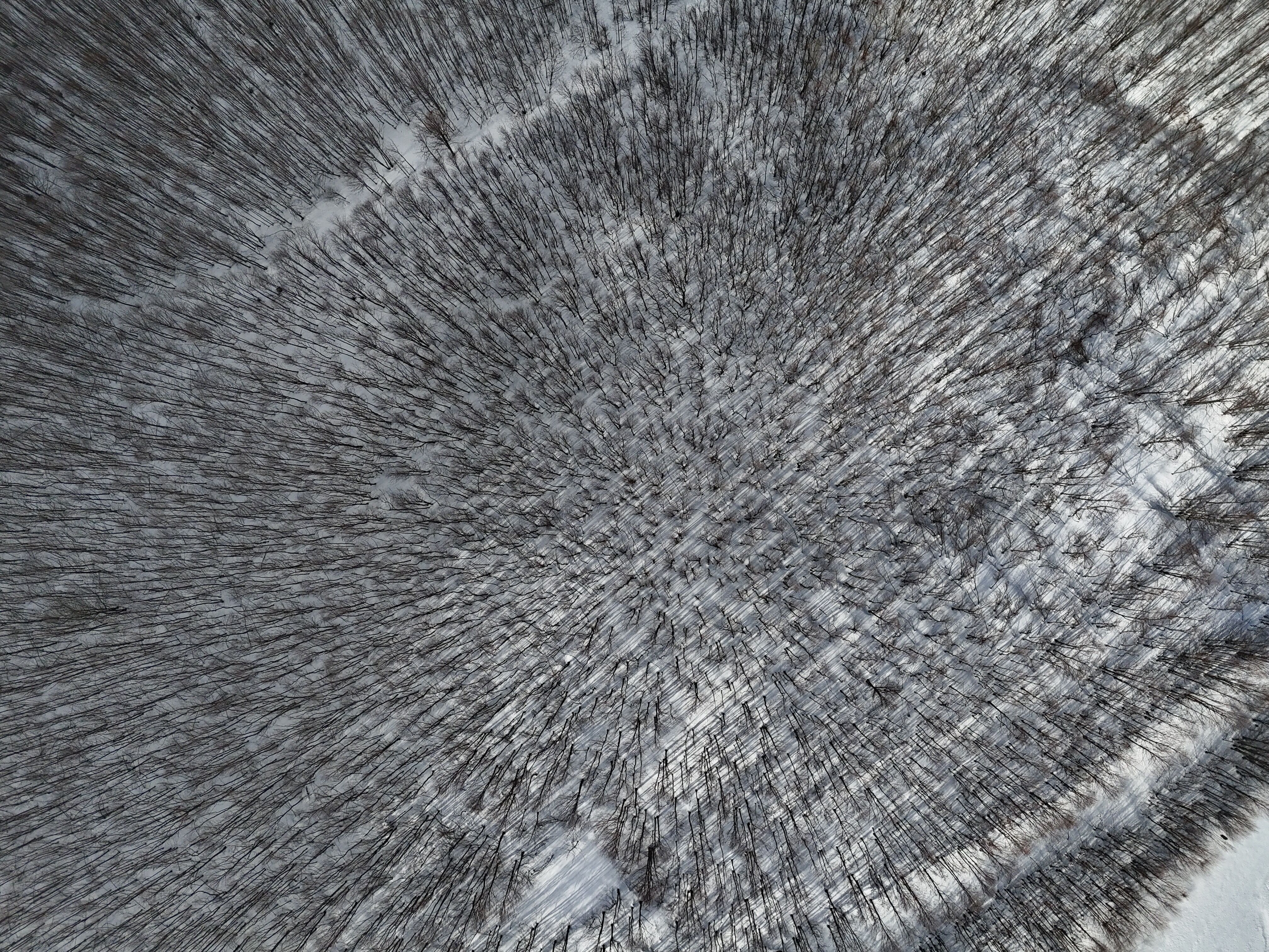 Dji Fly 20260316 162056 0017 1773670223313 Photo