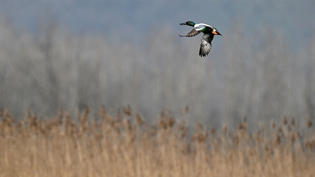 E F T E N İ G Ö L Ü2