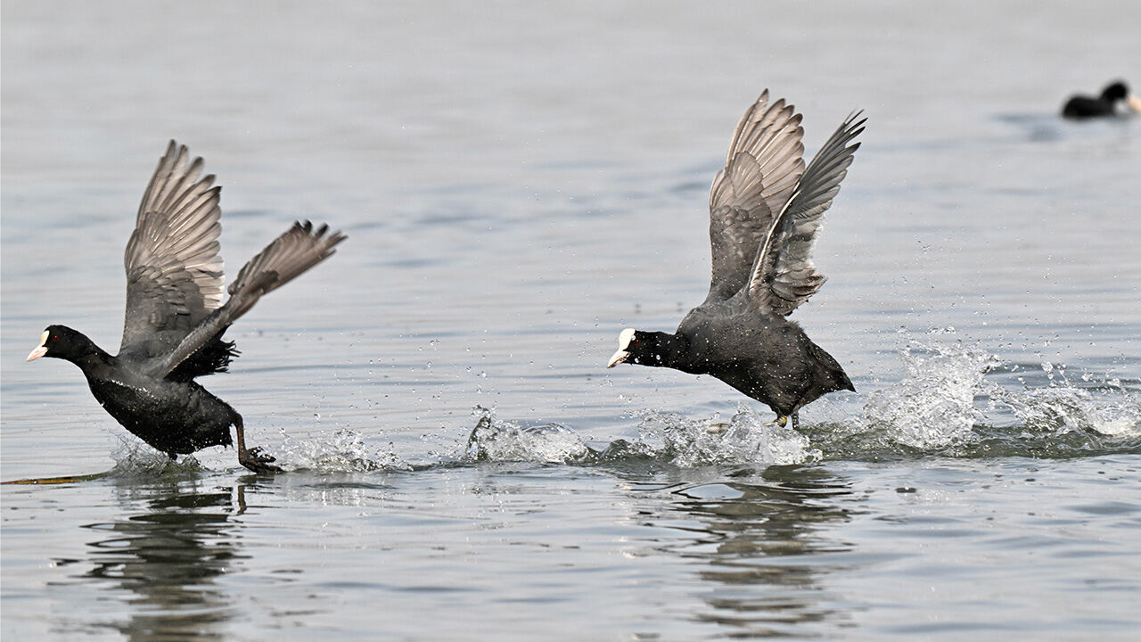 E F T E N İ G Ö L Ü3