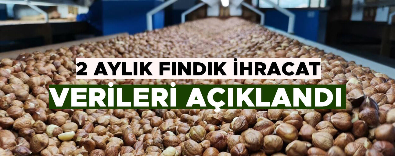 DÜZCE'DEN AB ÜLKELERİNE BİN 837 TON FINDIK İHRAÇ EDİLDİ