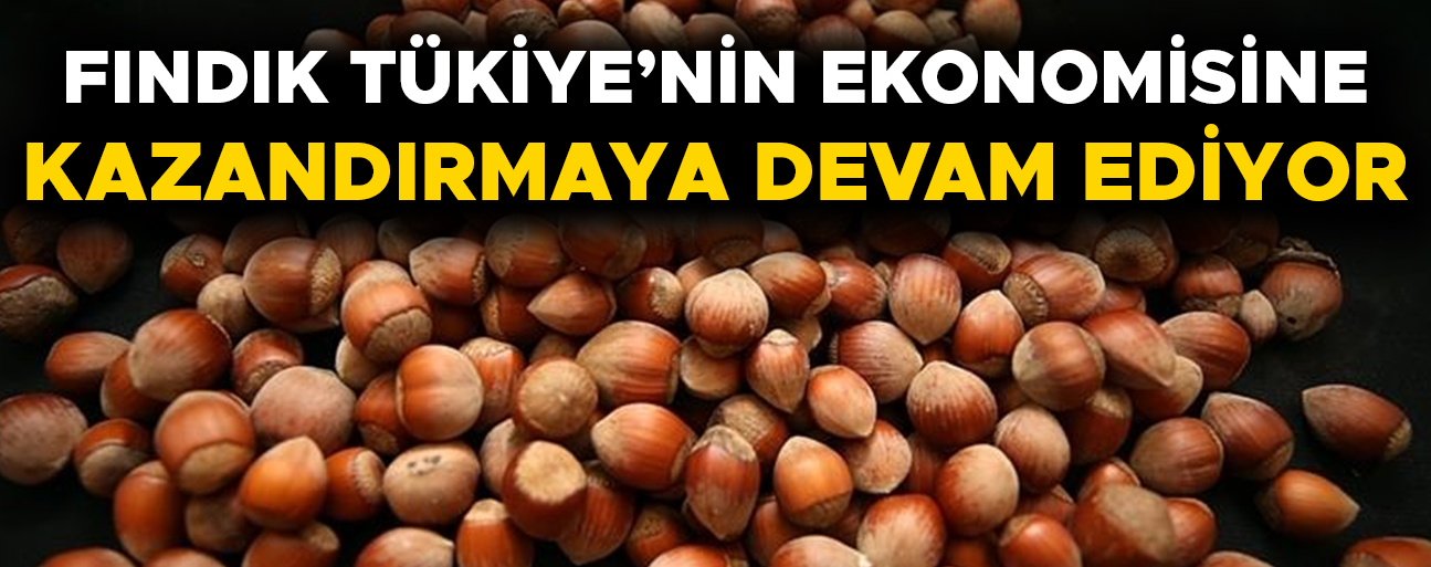 MİLYONLARCA DOLAR GELİR ELDE EDİLDİ