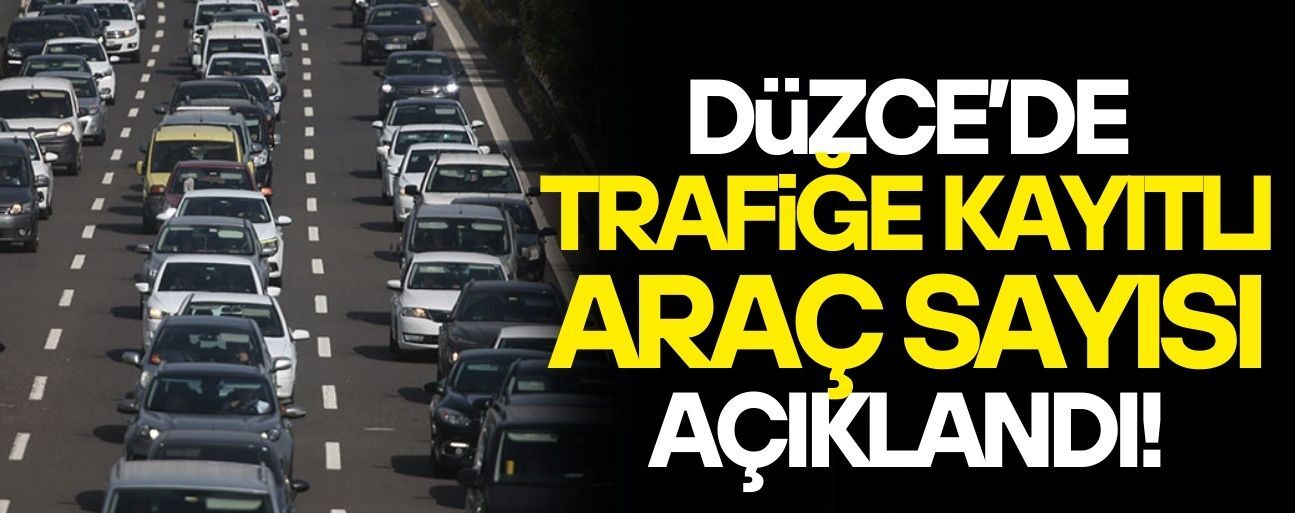 ŞUBAT AYINDA 3 BİN 591 ARACIN KAYDI YAPILDI