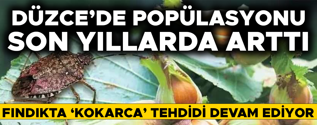 KIŞLAK MÜCADELESİ İÇİN HAZIRLIKLAR TAMAMLANDI