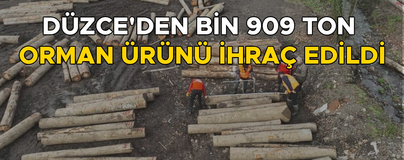 ORMAN ÜRÜNÜ İHRACATI BİR ÖNCEKİ YILI GEÇTİ