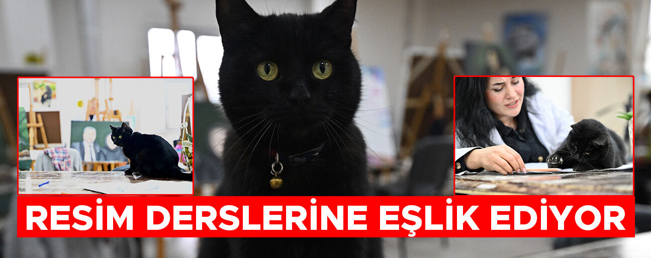 SEVİMLİ KEDİ "ŞÜKUFE" KURSİYERLERİN NEŞE KAYNAĞI OLDU