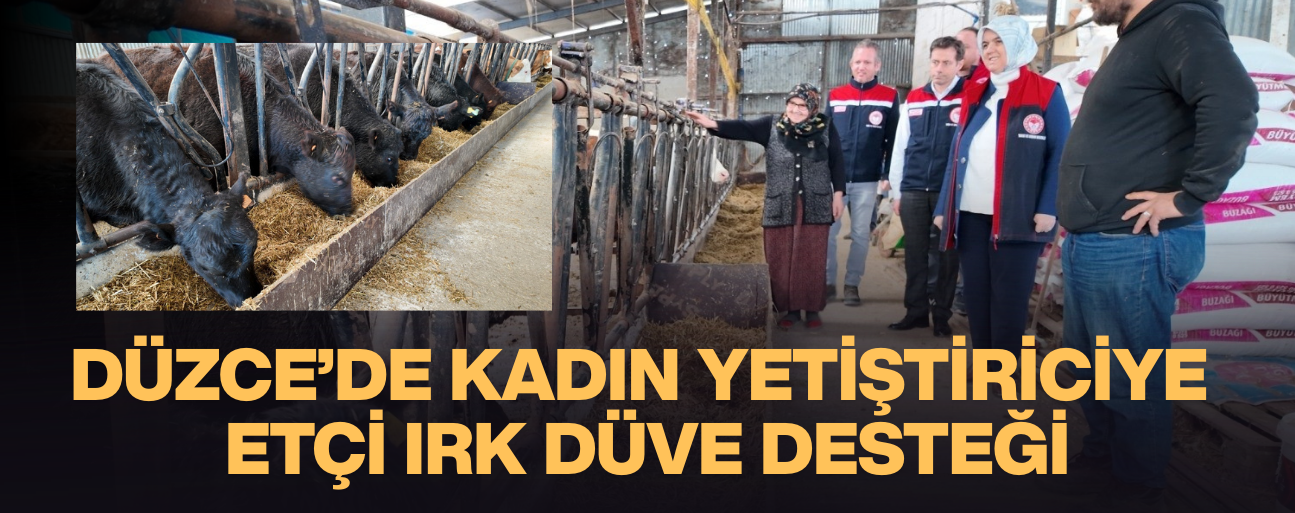 KIRSALDA BEREKET, HAYVANCILIĞA DESTEK