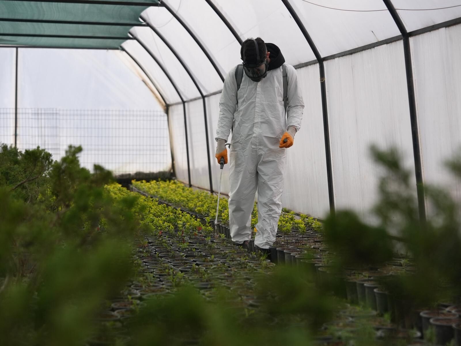 Tarım Akademisi Eğitim (3)