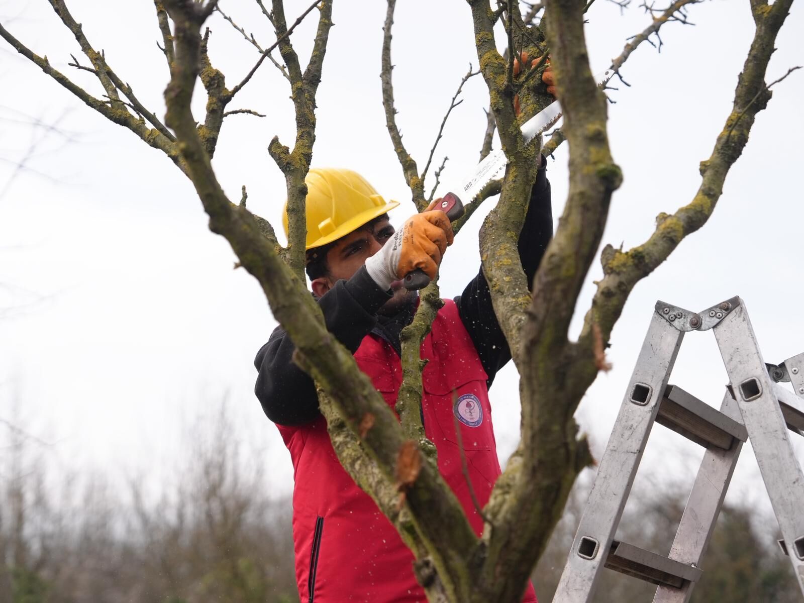 Tarım Akademisi Eğitim (4)