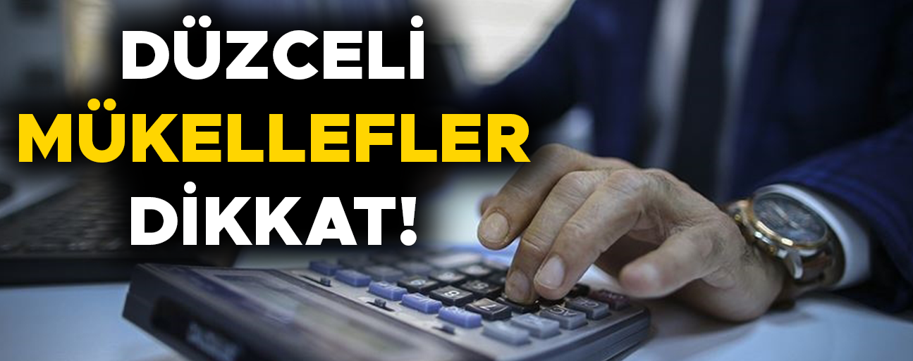 GELİR VERGİSİ BEYANNAMESİ VERME DÖNEMİ BAŞLADI