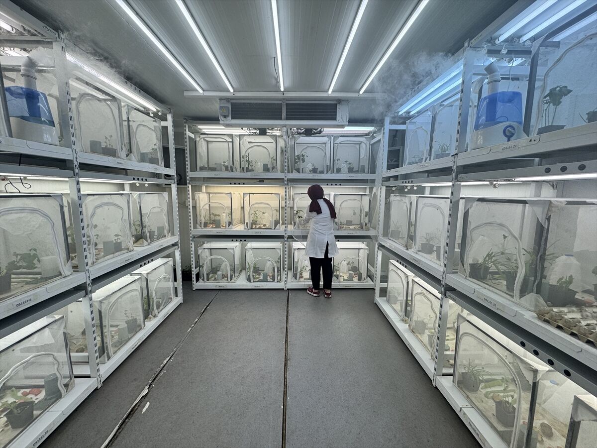 13D4Ed77F8F6D9D1F04726B3Cdc3382A