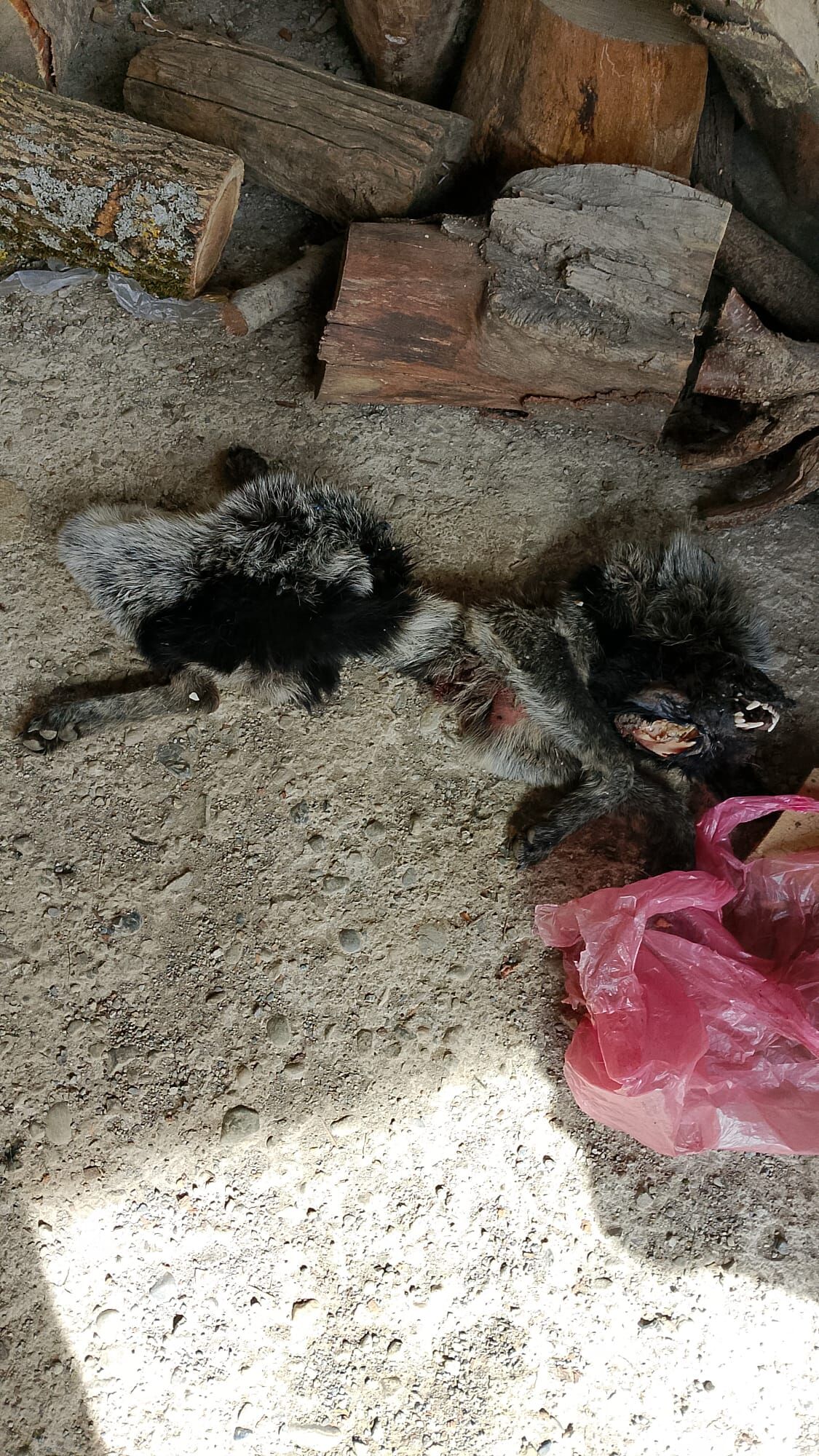 303F9741 C0E3 4234 9608 41873Eee229C