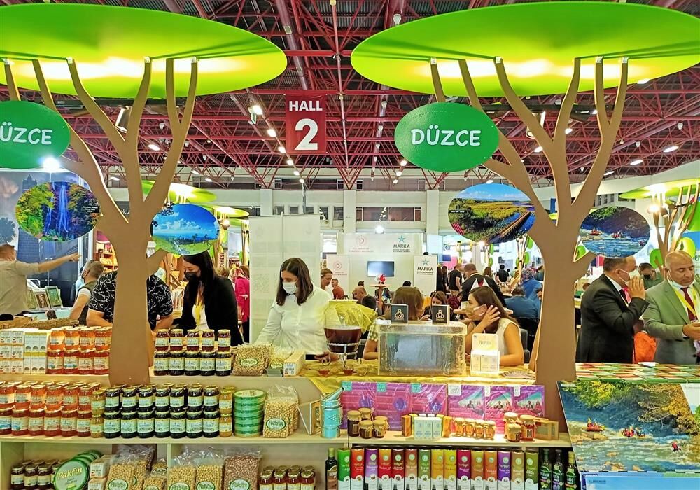 373461,476D578C C53D 4Bc4 A34A 69368Caab6A8Jpg