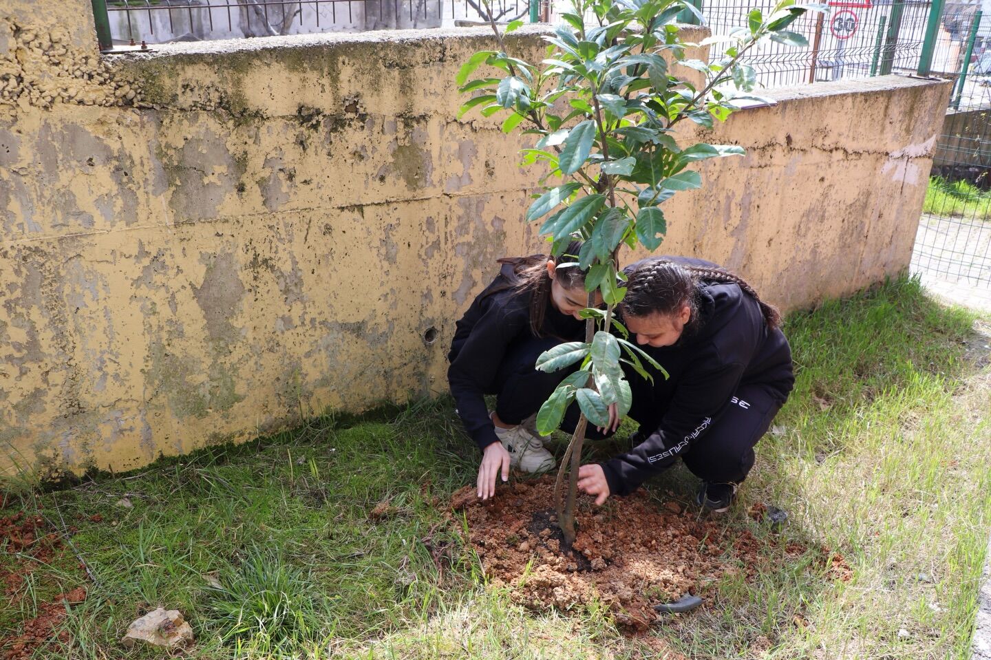 662368671 18578103655024515 433623176381200634 N