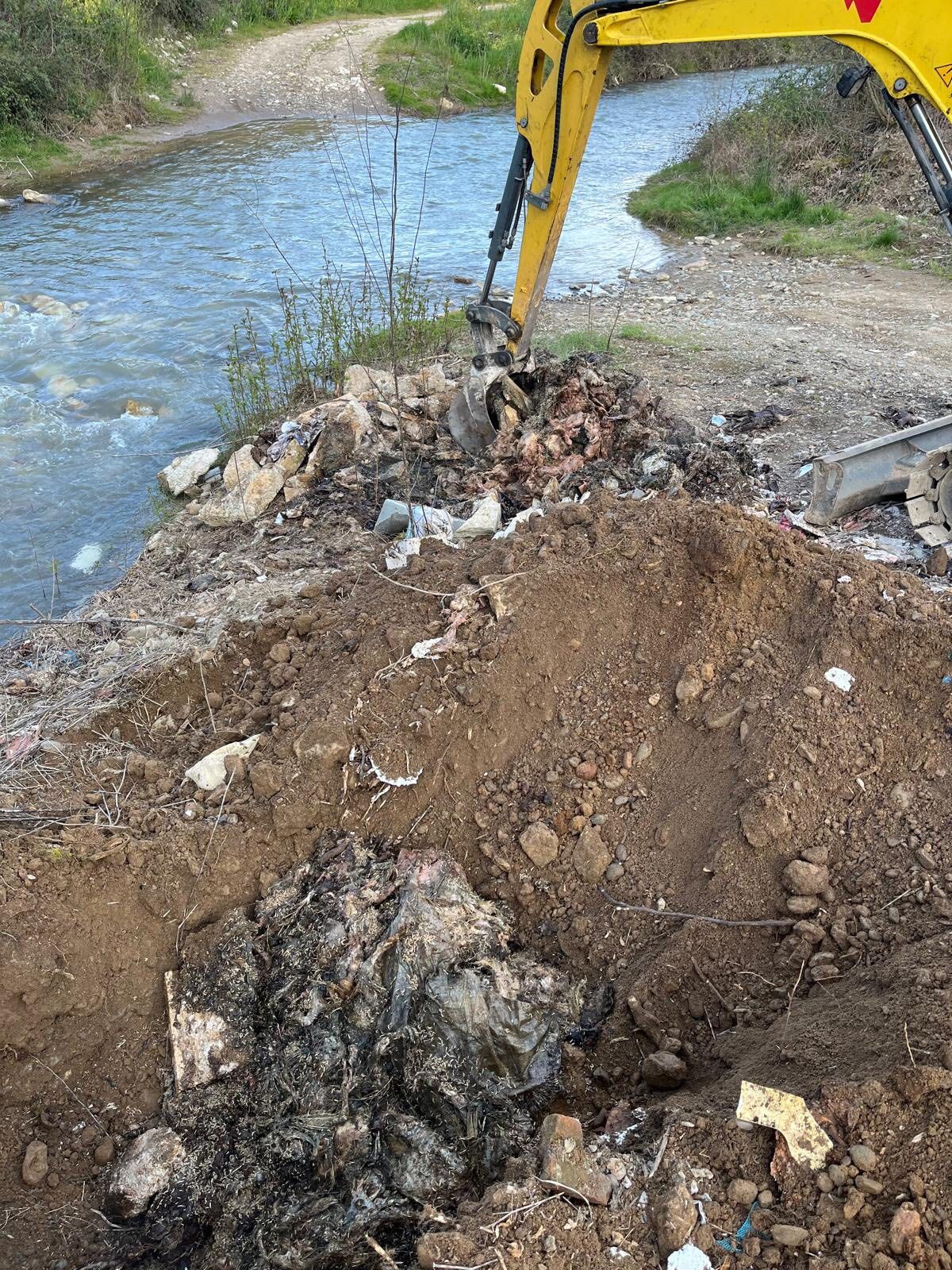 670448914 10164124193107888 6696424642469500739 N