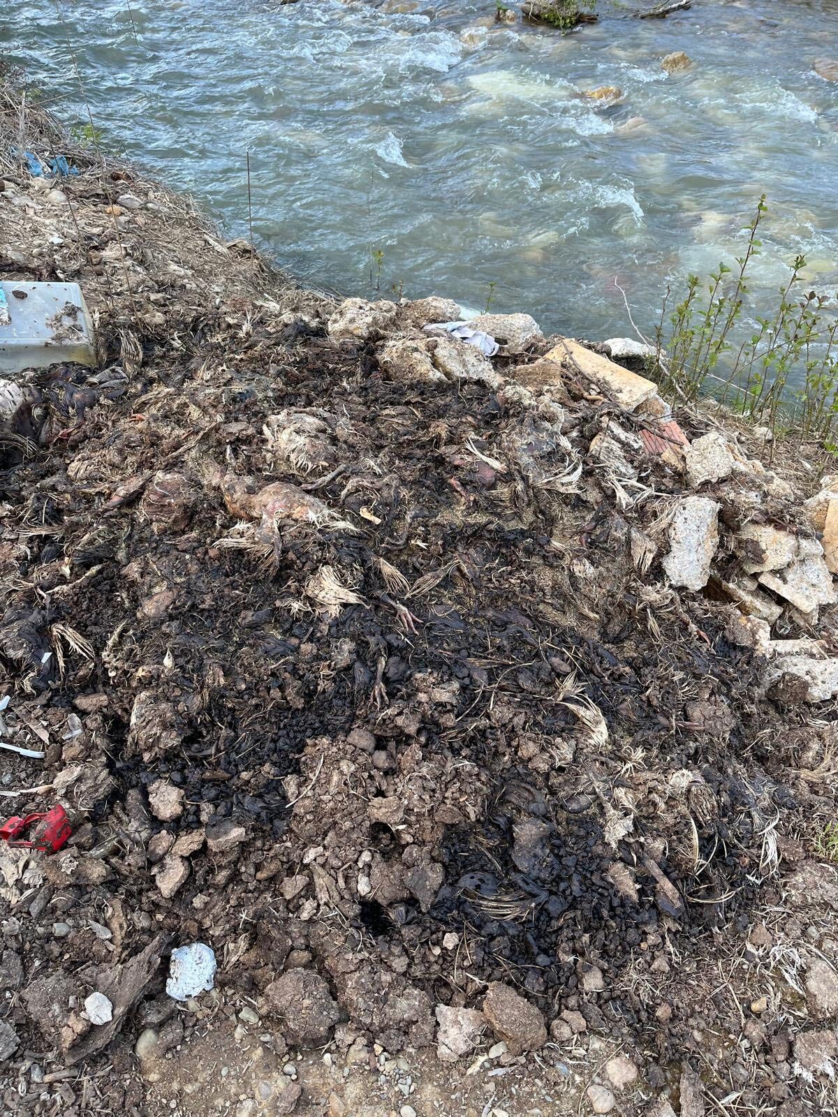 671115726 10164124193247888 2339490476889257402 N