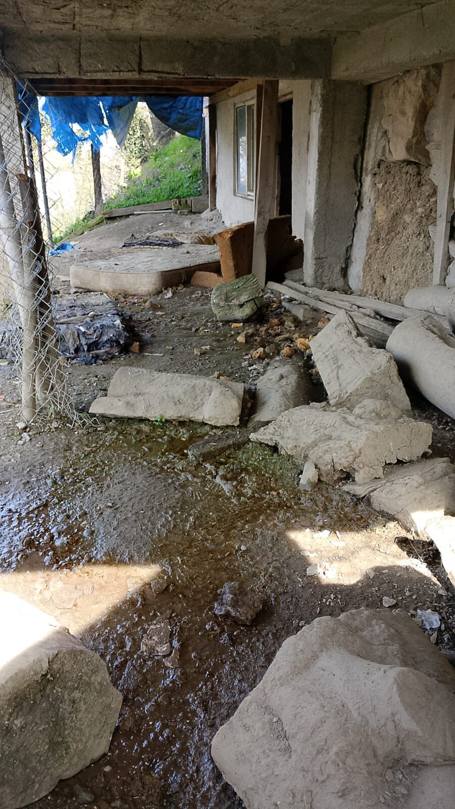 83Efe895 948A 43Be A2F9 0Be28C2E0F81