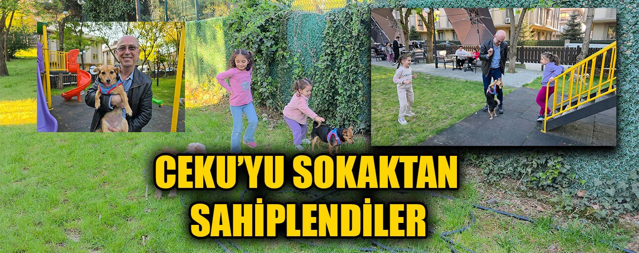 “EVİMİZİN ÇOCUĞU GİBİ OLDU”