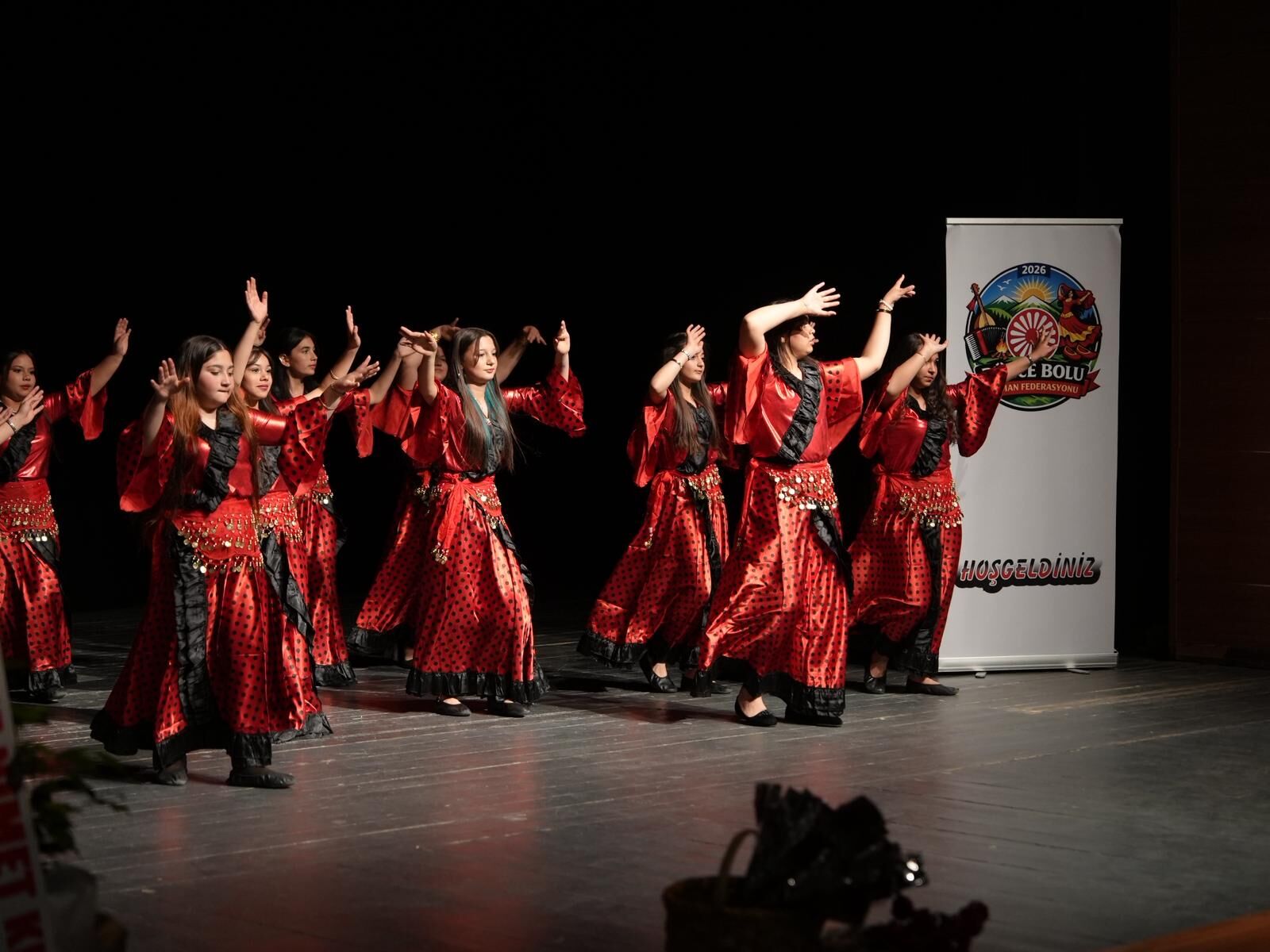 Dünya Romanlar Günü (14)