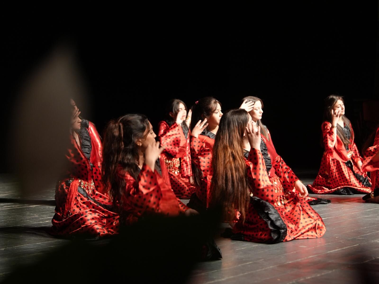 Dünya Romanlar Günü (2)