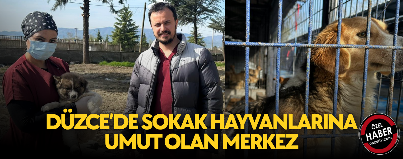 TEDAVİDEN SAHİPLENDİRMEYE TÜM SÜREÇLER TİTİZLİKLE YÜRÜTÜLÜYOR