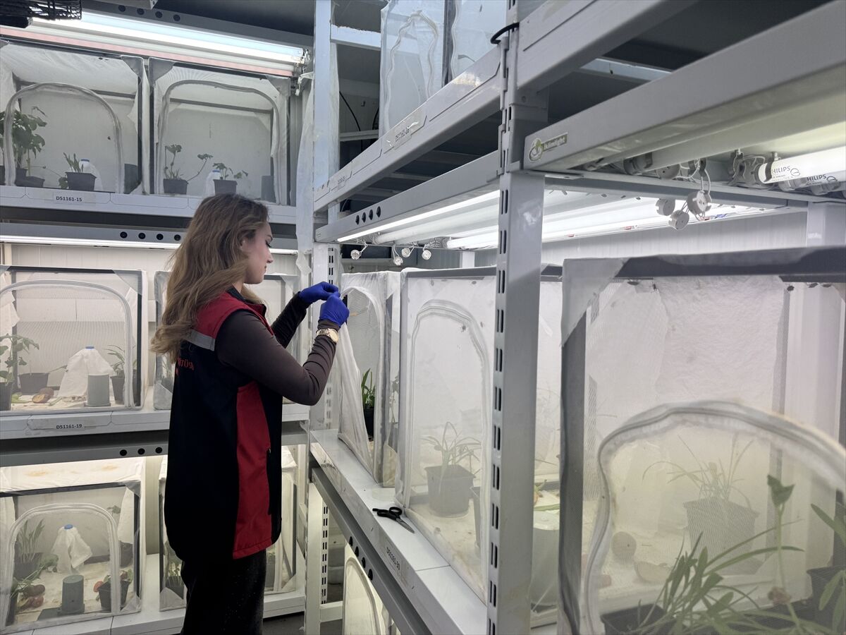 E3Ed57Da8F33355C38328D1656A2Df01