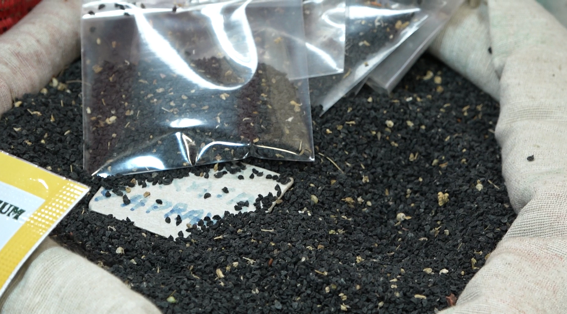 Ekran Görüntüsü 2026 04 28 111230