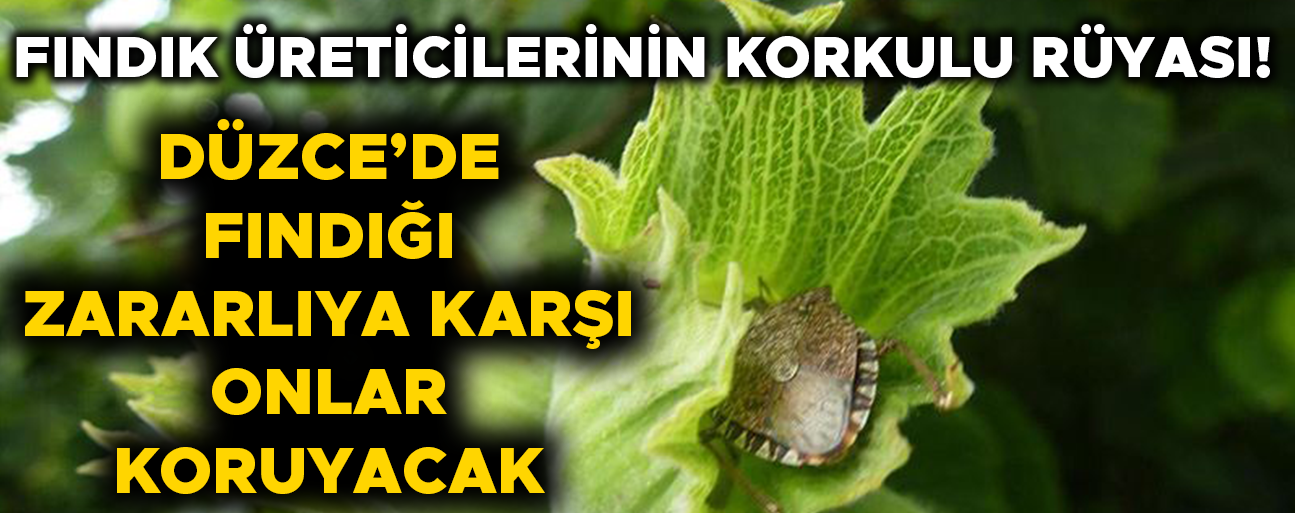 ÖNÜMÜZDEKİ GÜNLERDE BİNLERCESİ DOĞAYA SALINACAK