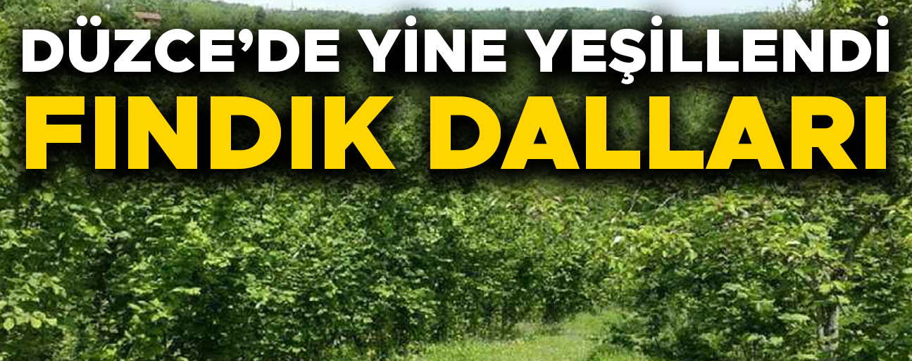 ÜRETİCİLER YENİ SEZON İÇİN ÇALIŞMALARINI SÜRDÜRÜYOR