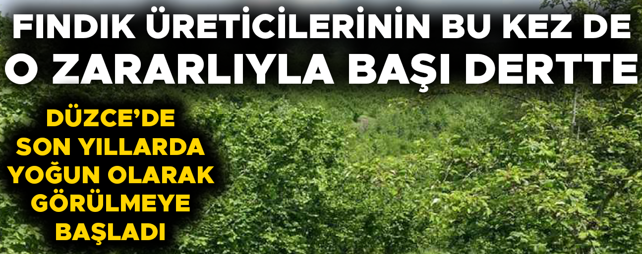 TARIM VE ORMAN İL MÜDÜRLÜĞÜ’NDEN ÜRETİCİLERE KRİTİK UYARI